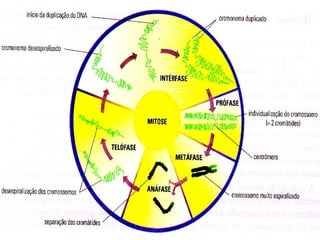 19/08/15 Professora Ionara
 