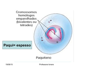 19/08/15 Professora Ionara
Paqui= espesso
 