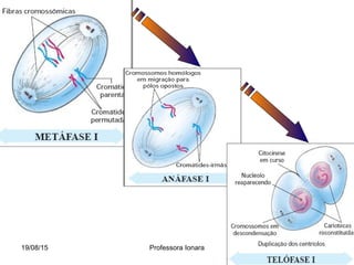 19/08/15 Professora Ionara
 