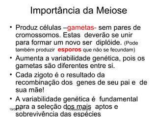 19/08/15 Professora Ionara
Importância da Meiose
• Produz células –gametas- sem pares de
cromossomos. Estas deverão se unir
para formar um novo ser diplóide. (Pode
também produzir esporos que não se fecundam)
• Aumenta a variabilidade genética, pois os
gametas são diferentes entre si.
• Cada zigoto é o resultado da
recombinação dos genes de seu pai e de
sua mãe!
• A variabilidade genética é fundamental
para a seleção dos mais aptos e
sobrevivência das espécies
 