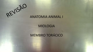 ANATOMIA ANIMAL I
MIOLOGIA
MEMBRO TORÁCICO
 