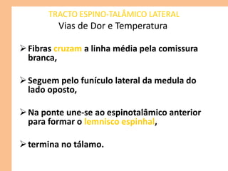 TRACTO ESPINO-TALÂMICO LATERAL
Vias de Dor e Temperatura
Fibras cruzam a linha média pela comissura
branca,
Seguem pelo funículo lateral da medula do
lado oposto,
Na ponte une-se ao espinotalâmico anterior
para formar o lemnisco espinhal,
termina no tálamo.
 