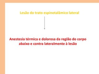Lesão do trato espinotalâmico lateral
Anestesia térmica e dolorosa da região do corpo
abaixo e contra lateralmente à lesão
 