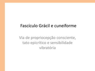 Fascículo Grácil e cuneiforme
Via de propriocepção consciente,
tato epicrítico e sensibilidade
vibratória
 