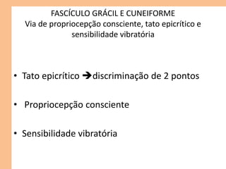 FASCÍCULO GRÁCIL E CUNEIFORME
Via de propriocepção consciente, tato epicrítico e
sensibilidade vibratória
• Tato epicrítico discriminação de 2 pontos
• Propriocepção consciente
• Sensibilidade vibratória
 
