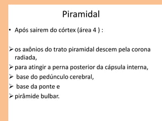 Piramidal
• Após sairem do córtex (área 4 ) :
os axônios do trato piramidal descem pela corona
radiada,
para atingir a perna posterior da cápsula interna,
 base do pedúnculo cerebral,
 base da ponte e
pirâmide bulbar.
 
