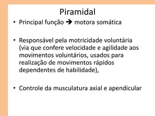 Piramidal
• Principal função  motora somática
• Responsável pela motricidade voluntária
(via que confere velocidade e agilidade aos
movimentos voluntários, usados para
realização de movimentos rápidos
dependentes de habilidade),
• Controle da musculatura axial e apendicular
 