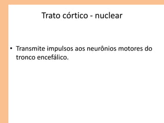 Trato córtico - nuclear
• Transmite impulsos aos neurônios motores do
tronco encefálico.
 