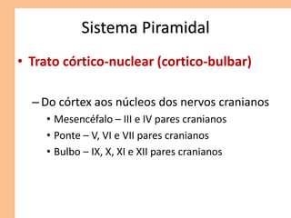 Sistema Piramidal
• Trato córtico-nuclear (cortico-bulbar)
– Do córtex aos núcleos dos nervos cranianos
• Mesencéfalo – III e IV pares cranianos
• Ponte – V, VI e VII pares cranianos
• Bulbo – IX, X, XI e XII pares cranianos
 