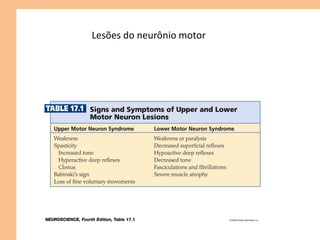 Lesões do neurônio motor
 