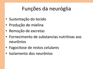 Funções da neuróglia
• Sustentação do tecido
• Produção de mielina
• Remoção de excretas
• Fornecimento de substancias nutritivas aos
neurônios
• Fagocitose de restos celulares
• Isolamento dos neurônios
 