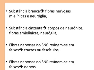 • Substância branca fibras nervosas
mielínicas e neuróglia,
• Substância cinzenta corpos de neurônios,
fibras amielínicas, neuróglia,
• Fibras nervosas no SNC reúnem-se em
feixes tractos ou fascículos,
• Fibras nervosas no SNP reúnem-se em
feixes nervos.
 