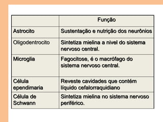 Função
Astrocito Sustentação e nutrição dos neurônios
Oligodentrocito Sintetiza mielina a nivel do sistema
nervoso central.
Microglia Fagocitose, é o macrófago do
sistema nervoso central.
Célula
ependimaria
Reveste cavidades que contém
líquido cefalorraquidiano
Célula de
Schwann
Sintetiza mielina no sistema nervoso
periférico.
 