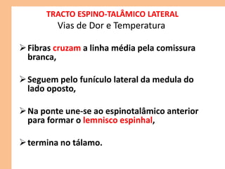TRACTO ESPINO-TALÂMICO LATERAL
Vias de Dor e Temperatura
Fibras cruzam a linha média pela comissura
branca,
Seguem pelo funículo lateral da medula do
lado oposto,
Na ponte une-se ao espinotalâmico anterior
para formar o lemnisco espinhal,
termina no tálamo.
 