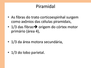 Piramidal
• As fibras do trato corticoespinhal surgem
como axônios das células piramidais,
• 1/3 das fibras origem do córtex motor
primário (área 4),
• 1/3 da área motora secundária,
• 1/3 do lobo parietal.
 