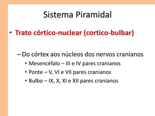Sistema Piramidal
• Trato córtico-nuclear (cortico-bulbar)
–Do córtex aos núcleos dos nervos cranianos
• Mesencéfalo – III e IV pares cranianos
• Ponte – V, VI e VII pares cranianos
• Bulbo – IX, X, XI e XII pares cranianos
 