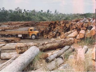 Resfriamento  Global“O aquecimento global não passa de uma farsa montada por grandes grupos financeiros que dominam a economia mundial. E mais: não há indícios científicos que comprovem essa teoria.(...)”Ao invés de aquecimento, o planeta começou a entrar numa fase de resfriamento, que deve durar 20 anos.O autor da polêmica idéia, também defendida por poucos estudiosos é o doutor em Meteorologia pela Universidade de Wisconsin (EUA) e representante da América Latina junto à Organização Meteorológica Mundial, o brasileiro Luiz Carlos Baldicero Molion. 