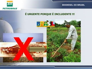 Biodiesel Matérias-primas brasileirasFonte: CONAB (Abril/2004)