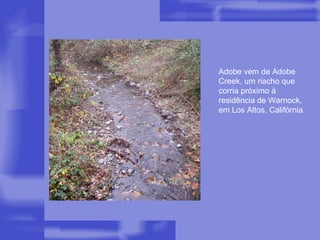 Adobe vem de Adobe Creek, um riacho que corria próximo à residência de Warnock, em Los Altos, Califórnia. 