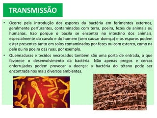 • Ocorre pela introdução dos esporos da bactéria em ferimentos externos,
geralmente perfurantes, contaminados com terra, poeira, fezes de animais ou
humanas. Isso porque o bacilo se encontra no intestino dos animais,
especialmente do cavalo e do homem (sem causar doença) e os esporos podem
estar presentes tanto em solos contaminados por fezes ou com esterco, como na
pele ou na poeira das ruas, por exemplo.
• Queimaduras e tecidos necrosados também são uma porta de entrada, o que
favorece o desenvolvimento da bactéria. Não apenas pregos e cercas
enferrujados podem provocar a doença: a bactéria do tétano pode ser
encontrada nos mais diversos ambientes.
TRANSMISSÃO
 