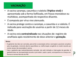 • A vacina sarampo, caxumba e rubéola (Tríplice viral) é
apresentada sob a forma liofilizada, em frasco monodose ou
multidose, acompanhada do respectivo diluente.
• É composta por vírus vivo atenuado.
• A vacina protege contra o sarampo, a caxumba e a rubéola. É
indicada para vacinação de usuários a partir de 12 meses de
idade.
• A vacina esta contraindicada nas situações de: registro de
anafilaxia após recebimento de dose anterior e gestação.
VACINAÇÃO
 