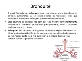 Bronquite
• É uma inflamação dos brônquios, canais que conduzem o ar inalado até os
alvéolos pulmonares. Ela se instala quando os minúsculos cílios que
revestem o interior dos brônquios param de eliminar o muco.
• Esse acúmulo de secreção faz com que eles fiquem permanentemente
inflamados e contraídos, provocando, principalmente, tosse. A bronquite
pode ser aguda ou crônica.
• Brônquios: São condutos cartilaginosos localizados na porção mediana do
tórax, abaixo da região inferior da traqueia; e se estendem desde o ponto
da ramificação desta até o hilo pulmonar. O brônquio direito é mais
vertical, curto e largo que o esquerdo
 