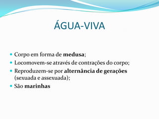 ÁGUA-VIVA

 Corpo em forma de medusa;
 Locomovem-se através de contrações do corpo;
 Reproduzem-se por alternância de gerações
  (sexuada e assexuada);
 São marinhas
 