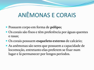 ANÊMONAS E CORAIS
 Possuem corpo em forma de pólipo;
 Os corais são fixos e têm preferência por águas quentes
  e rasas;
 Os corais possuem esqueleto externo de calcário;
 As anêmonas são seres que possuem a capacidade de
  locomoção, entretanto elas preferem se fixar num
  lugar e lá permanecer por longos períodos.
 