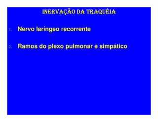 INERVAÇÃO DA TRAQUÉIA

1.   Nervo laríngeo recorrente

2.   Ramos do plexo pulmonar e simpático
 