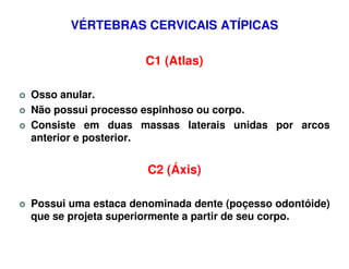 VÉRTEBRAS CERVICAIS ATÍPICAS

                    C1 (Atlas)

Osso anular.
Não possui processo espinhoso ou corpo.
Consiste em duas massas laterais unidas por arcos
anterior e posterior.


                     C2 (Áxis)

Possui uma estaca denominada dente (poçesso odontóide)
que se projeta superiormente a partir de seu corpo.
 