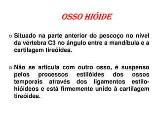 OSSO HIÓIDE
Situado na parte anterior do pescoço no nível
da vértebra C3 no ángulo entre a mandíbula e a
cartilagem tireóidea.

Não se articula com outro osso, é suspenso
pelos processos estilóides dos ossos
temporais através dos ligamentos estilo-
hióideos e está firmemente unido à cartilagem
tireóidea.
 