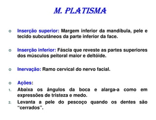 M. PLATISMA

     Inserção superior: Margem inferior da mandíbula, pele e
     tecido subcutâneos da parte inferior da face.

     Inserção inferior: Fáscia que reveste as partes superiores
     dos músculos peitoral maior e deltóide.

     Inervação: Ramo cervical do nervo facial.

     Ações:
1.   Abaixa os ângulos da boca e alarga-a como em
     expressões de tristeza e medo.
2.   Levanta a pele do pescoço quando os dentes são
     “cerrados”.
 