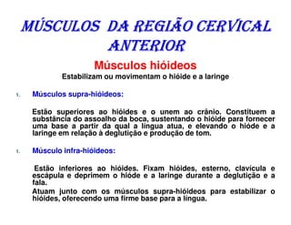 MÚSCULOS DA REGIÃO CERVICAL
              ANTERIOR
                       Músculos hióideos
              Estabilizam ou movimentam o hióide e a laringe

1.    Músculos supra-hióideos:

      Estão superiores ao hióides e o unem ao crânio. Constituem a
      substância do assoalho da boca, sustentando o hióide para fornecer
      uma base a partir da qual a língua atua, e elevando o hióde e a
      laringe em relação à deglutição e produção de tom.

1.    Músculo infra-hióideos:

       Estão inferiores ao hióides. Fixam hióides, esterno, clavícula e
      escápula e deprimem o hióde e a laringe durante a deglutição e a
      fala.
      Atuam junto com os músculos supra-hióideos para estabilizar o
      hióides, oferecendo uma firme base para a língua.
 