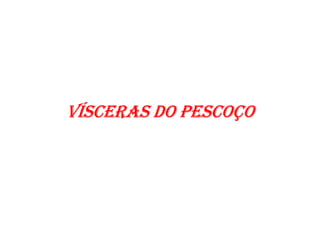 VÍSCERAS DO PESCOÇO
 