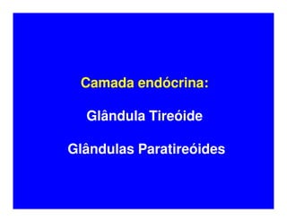 Camada endócrina:

  Glândula Tireóide

Glândulas Paratireóides
 