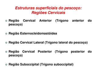 Estruturas superficiais do pescoço:
             Regiões Cervicais
Região Cervical     Anterior   (Trígono   anterior     do
pescoço)

Região Esternocleidomastóidea

Região Cervical Lateral (Trígono lateral do pescoço)

Região Cervical Posterior (Trígono posterior do
pescoço)

Região Suboccipital (Trígono suboccipital)
 