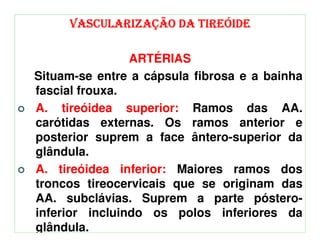 VASCULARIZAÇÃO DA TIREÓIDE

                ARTÉRIAS
Situam-se entre a cápsula fibrosa e a bainha
fascial frouxa.
A. tireóidea superior: Ramos das AA.
carótidas externas. Os ramos anterior e
posterior suprem a face ântero-superior da
glândula.
A. tireóidea inferior: Maiores ramos dos
troncos tireocervicais que se originam das
AA. subclávias. Suprem a parte póstero-
inferior incluindo os polos inferiores da
glândula.
 