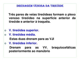DRENAGEM VENOSA DA TIREÓIDE

Três pares de veias tireóideas formam o plexo
venoso tireóideo na superfície anterior da
tireóide e anterior à traquéia.

V. tireóidea superior.
V. tireóidea média.
Estas duas drenam para as VJI
V. tireóidea inferior.
Drenam para as VV. braquiocefálicas
posteriormente ao manúbrio
 