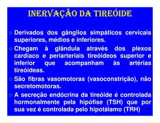 INERVAÇÃO DA TIREÓIDE

Derivados dos gânglios simpáticos cervicais
superiores, médios e inferiores.
Chegam à glândula através dos plexos
cardíaco e periarteriais tireóideos superior e
inferior    que  acompanham       às   artérias
tireóideas.
São fibras vasomotoras (vasoconstrição), não
secretomotoras.
A secreção endócrina da tireóide é controlada
hormonalmente pela hipófise (TSH) que por
sua vez é controlada pelo hipotálamo (TRH)
 