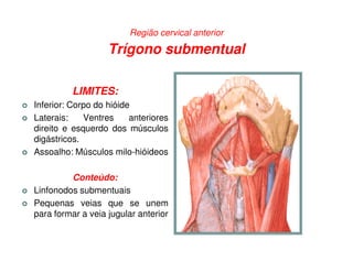 Região cervical anterior

                   Trígono submentual

         LIMITES:
Inferior: Corpo do hióide
Laterais:    Ventres     anteriores
direito e esquerdo dos músculos
digástricos.
Assoalho: Músculos milo-hióideos

         Conteúdo:
Linfonodos submentuais
Pequenas veias que se unem
para formar a veia jugular anterior
 