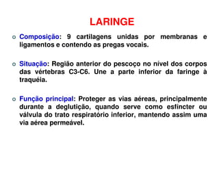 LARINGE
Composição: 9 cartilagens unidas por membranas e
ligamentos e contendo as pregas vocais.

Situação: Região anterior do pescoço no nível dos corpos
das vértebras C3-C6. Une a parte inferior da faringe à
traquéia.

Função principal: Proteger as vias aéreas, principalmente
durante a deglutição, quando serve como esfíncter ou
válvula do trato respiratório inferior, mantendo assim uma
via aérea permeável.
 