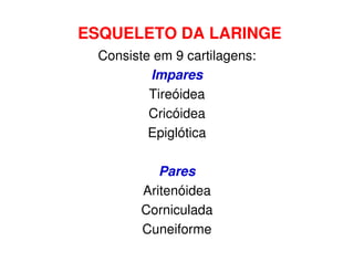 ESQUELETO DA LARINGE
 Consiste em 9 cartilagens:
         Impares
         Tireóidea
         Cricóidea
         Epiglótica

           Pares
        Aritenóidea
        Corniculada
        Cuneiforme
 