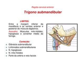 Região cervical anterior

                 Trígono submandibular

            LIMITES:
Entre a margem inferior da
mandíbula e os ventres anterior e
posterior do músculo digástrico.
Assoalho: Músculos milo-hióideo,
hipoglosso e constritor médio da
faringe.

            Conteúdo:
Glândula submandibular
Linfonodos submandibulares
N. hipoglosso
N. milo-hióideo
Parte da artéria e veia faciais
 