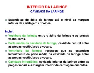 INTERIOR DA LARINGE
                  CAVIDADE DA LARINGE

  Estende-se do ádito da laringe até o nível da margem
  inferior da cartilagem cricóidea.

Inclui:
  Vestíbulo da laringe: entre o ádito da laringe e as pregas
  vestibulares.
  Parte media da cavidade da laringe: cavidade central entre
  as pregas vestibulares e vocais.
  Ventrículo da laringe: recessos que se estendem
  lateralmente da parte média da cavidade da laringe entre
  as pregas vestibulares e vocais.
  Cavidade infraglótica: cavidade inferior da laringe entre as
  pregas vocais e a margem inferior da cartilagem cricóidea.
 