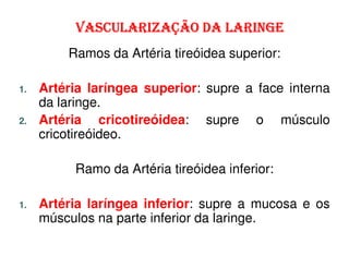 VASCULARIZAÇÃO DA LARINGE
         Ramos da Artéria tireóidea superior:

1.   Artéria laríngea superior: supre a face interna
     da laringe.
2.   Artéria cricotireóidea: supre o músculo
     cricotireóideo.

          Ramo da Artéria tireóidea inferior:

1.   Artéria laríngea inferior: supre a mucosa e os
     músculos na parte inferior da laringe.
 