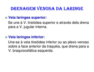 DRENAGEM VENOSA DA LARINGE
Veia laríngea superior:
Se une à V. tireóidea superior e através dela drena
para a V. jugular interna.

Veia laríngea inferior:
Une-se à veia tireóidea inferior ou ao plexo venoso
sobre a face anterior da traquéia, que drena para a
V. braquiocefálica esquerda.
 