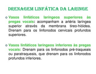 DRENAGEM LINFÁTICA DA LARINGE
Vasos linfáticos laríngeos superiores às
pregas vocais: acompanham a artéria laríngea
superior através da membrana tireo-hióidea.
Drenam para os linfonodos cervicais profundos
superiores.

Vasos linfáticos laríngeos inferiores às pregas
vocais: Drenam para os linfonodos pré-traqueais
ou paratraqueais, que drenam para os linfonodos
profundos inferiores.
 