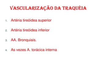 VASCULARIZAÇÃO DA TRAQUÉIA

1.   Artéria tireóidea superior

2.   Artéria tireóidea inferior

3.   AA. Bronquiais.

4.   As vezes A. torácica interna
 