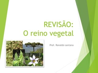 REVISÃO:
O reino vegetal
Prof. Ronaldo santana
 