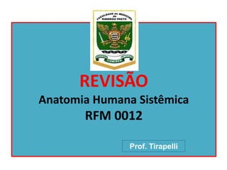 REVISÃO
Anatomia Humana Sistêmica
RFM 0012
Prof. Tirapelli
 